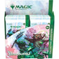 Boite de boosters collector de Bloomburrow